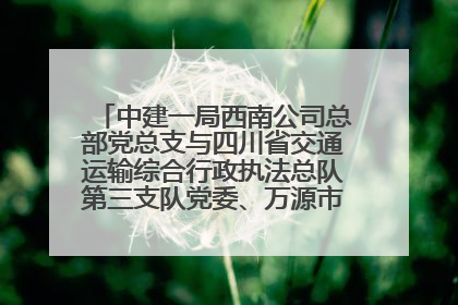 中建一局西南公司总部党总支与四川省交通运输综合行政执法总队第三支队党委、万源市草坝镇莲花院村党支部开展党建联建