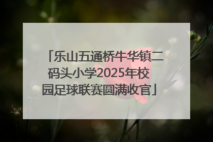 乐山五通桥牛华镇二码头小学2025年校园足球联赛圆满收官