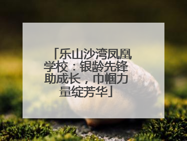 乐山沙湾凤凰学校：银龄先锋助成长，巾帼力量绽芳华