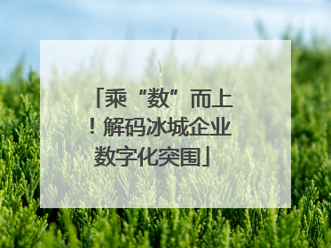 乘“数”而上！解码冰城企业数字化突围