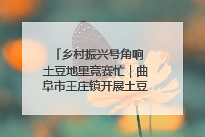 乡村振兴号角响 土豆地里竞赛忙｜曲阜市王庄镇开展土豆收获劳动竞赛