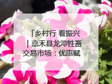 乡村行 看振兴｜嘉禾县龙潭牲畜交易市场：优惠赋能促交易 乡村振兴添动能