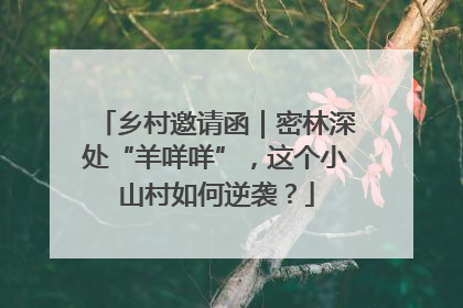 乡村邀请函｜密林深处“羊咩咩”，这个小山村如何逆袭？