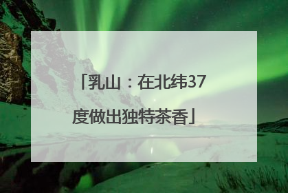乳山：在北纬37度做出独特茶香