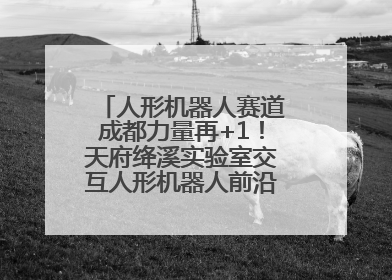 人形机器人赛道成都力量再+1！天府绛溪实验室交互人形机器人前沿研究中心成立