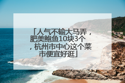 人气不输大马弄，肥美鲍鱼10块3个，杭州市中心这个菜市便宜好逛