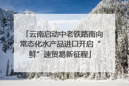 云南启动中老铁路南向常态化水产品进口开启“鲜”速贸易新征程