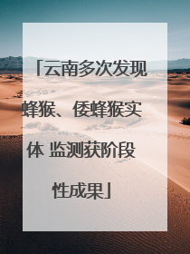 云南多次发现蜂猴、倭蜂猴实体 监测获阶段性成果