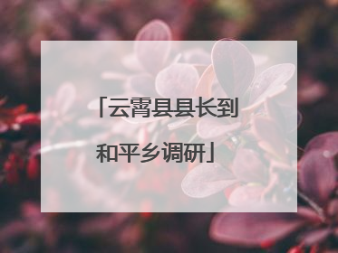 云霄县县长到和平乡调研