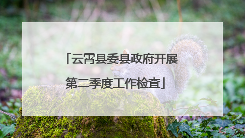 云霄县委县政府开展第二季度工作检查