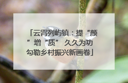 云霄列屿镇：提“颜”增“质” 久久为功勾勒乡村振兴新画卷