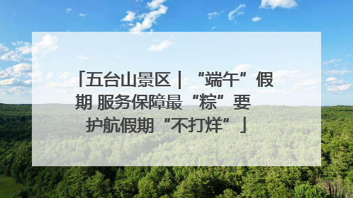五台山景区｜“端午”假期 服务保障最“粽”要 护航假期“不打烊”