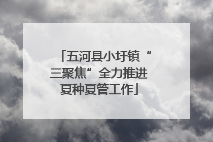 五河县小圩镇“三聚焦”全力推进夏种夏管工作