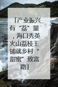 产业振兴有“荔”量，海口秀英火山荔枝王铺就乡村“甜蜜”致富路
