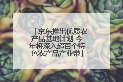 京东推出优质农产品基地计划 今年将深入超百个特色农产品产业带