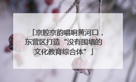 京腔京韵唱响黄河口，东营区打造“没有围墙的文化教育综合体”