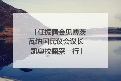 任振鹤会见博茨瓦纳国民议会议长凯奥拉佩采一行