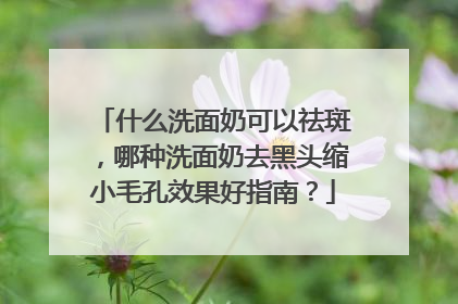 什么洗面奶可以祛斑，哪种洗面奶去黑头缩小毛孔效果好指南？