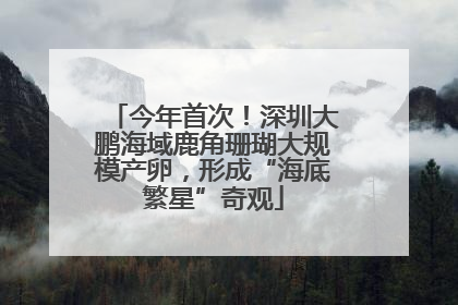 今年首次！深圳大鹏海域鹿角珊瑚大规模产卵，形成“海底繁星”奇观