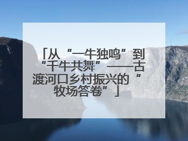 从“一牛独鸣”到“千牛共舞”——古渡河口乡村振兴的“牧场答卷”