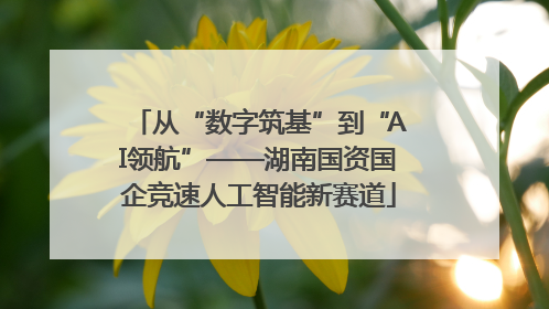 从“数字筑基”到“AI领航”——湖南国资国企竞速人工智能新赛道