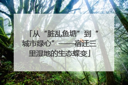 从“脏乱鱼塘”到“城市绿心”——宿迁三里湿地的生态蝶变