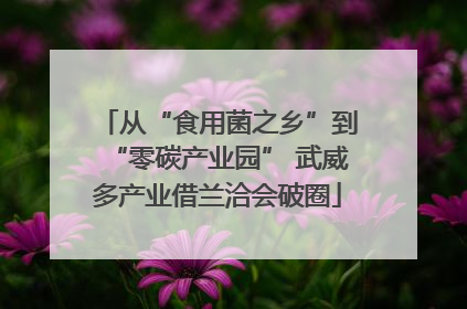 从“食用菌之乡”到“零碳产业园” 武威多产业借兰洽会破圈
