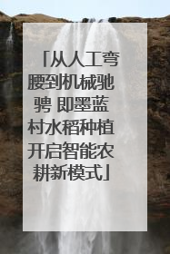 从人工弯腰到机械驰骋 即墨蓝村水稻种植开启智能农耕新模式