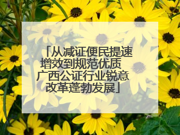 从减证便民提速增效到规范优质 广西公证行业锐意改革蓬勃发展