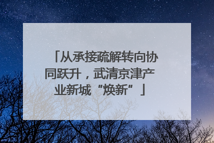 从承接疏解转向协同跃升，武清京津产业新城“焕新”