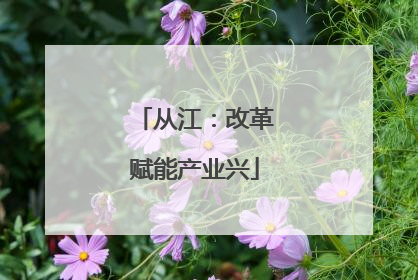 从江：改革赋能产业兴