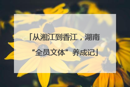 从湘江到香江，湖南“全员文体”养成记