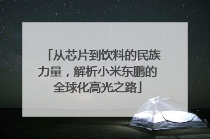 从芯片到饮料的民族力量，解析小米东鹏的全球化高光之路