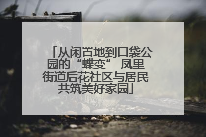 从闲置地到口袋公园的“蝶变” 凤里街道后花社区与居民共筑美好家园