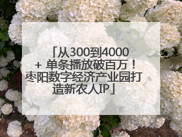 从300到4000+ 单条播放破百万！枣阳数字经济产业园打造新农人IP