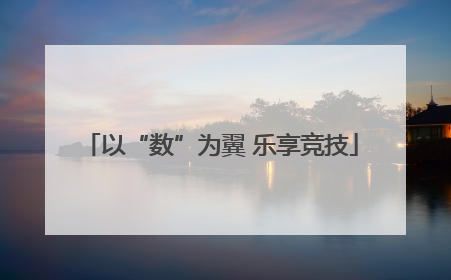 以“数”为翼 乐享竞技