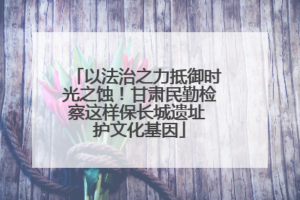 以法治之力抵御时光之蚀！甘肃民勤检察这样保长城遗址 护文化基因