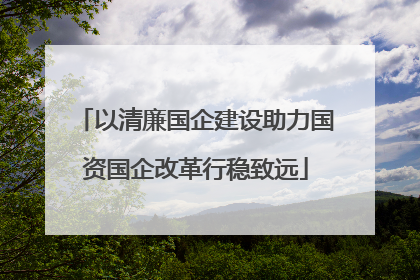 以清廉国企建设助力国资国企改革行稳致远