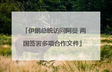 伊朗总统访问阿曼 两国签署多项合作文件