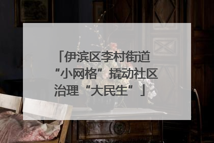 伊滨区李村街道 “小网格”撬动社区治理“大民生”