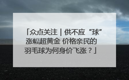 众点关注｜供不应“球” 涨幅超黄金 价格亲民的羽毛球为何身价飞涨？