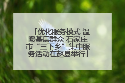优化服务模式 温暖基层群众 石家庄市“三下乡”集中服务活动在赵县举行