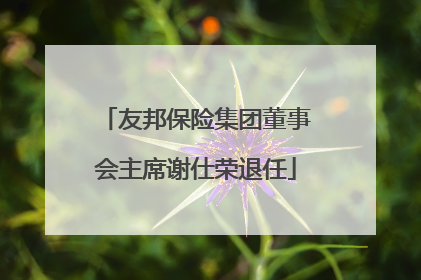 友邦保险集团董事会主席谢仕荣退任