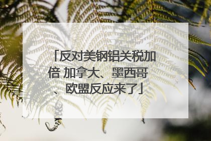 反对美钢铝关税加倍 加拿大、墨西哥、欧盟反应来了