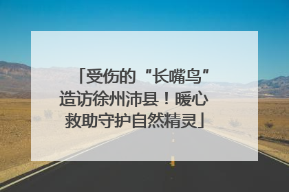 受伤的“长嘴鸟”造访徐州沛县！暖心救助守护自然精灵