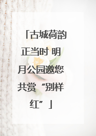 古城荷韵正当时 明月公园邀您共赏“别样红”