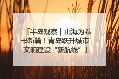 半岛观察｜山海为卷书新篇！青岛跃升城市文明建设“新航线”