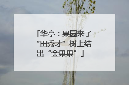 华亭：果园来了“田秀才”树上结出“金果果”
