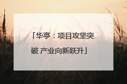 华亭：项目攻坚突破 产业向新跃升