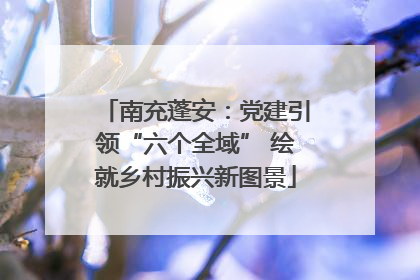 南充蓬安：党建引领“六个全域” 绘就乡村振兴新图景